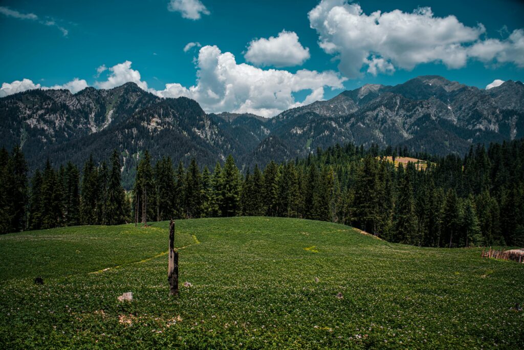 Valle de Kumrat con ríos cristalinos, bosques verdes y montañas en Pakistán