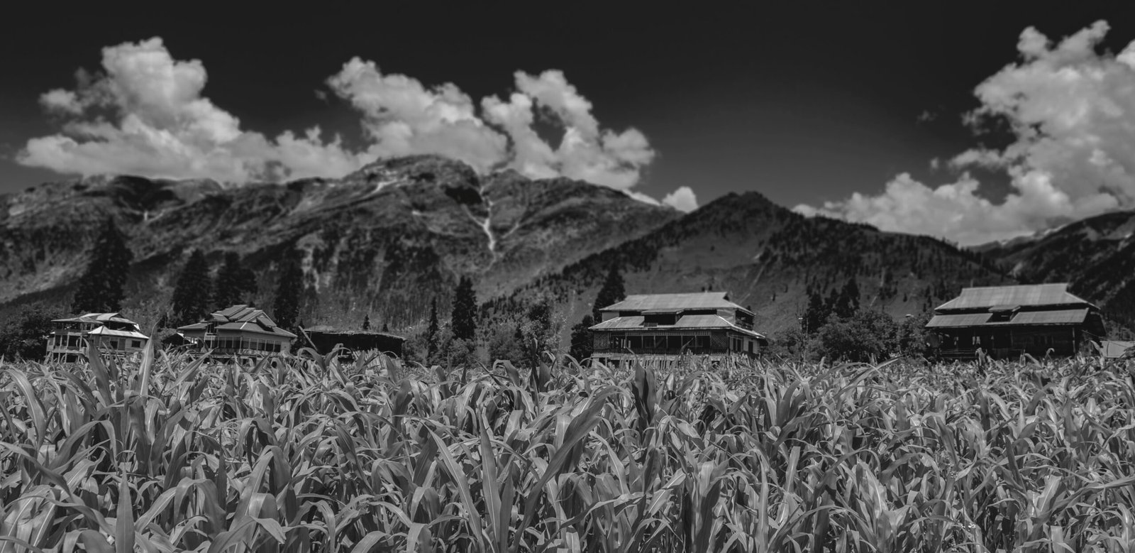 Arang Kel village in Neelum Valley, Azad Kashmir, a peaceful honeymoon spot