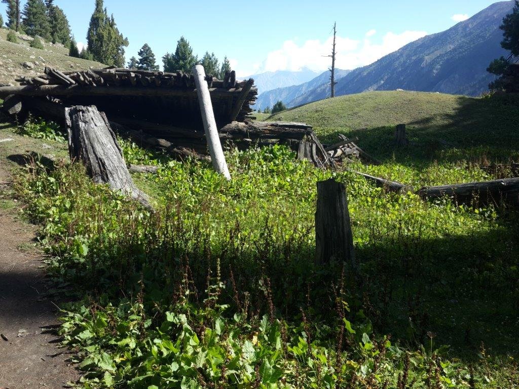 A simple wooden hut for accommodation at Fairy Meadows