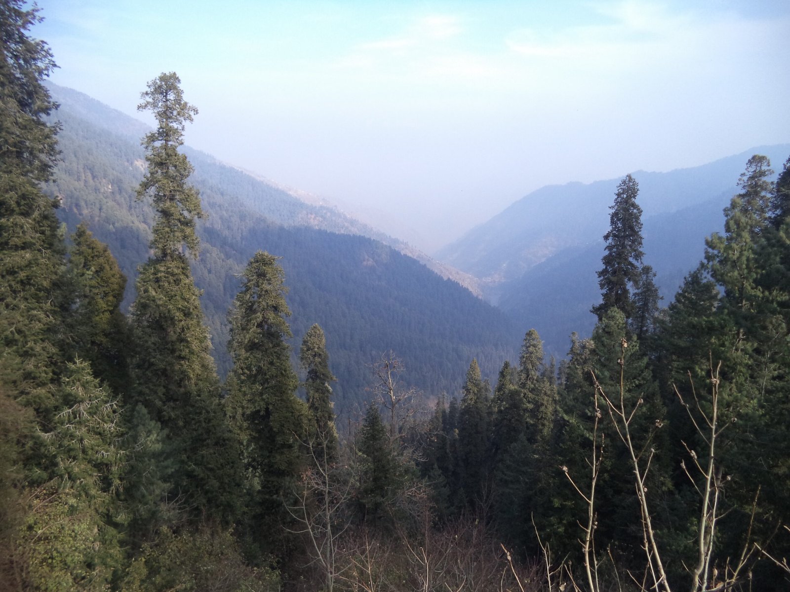 Scenic mountain view of Nathia Gali forest near Murree