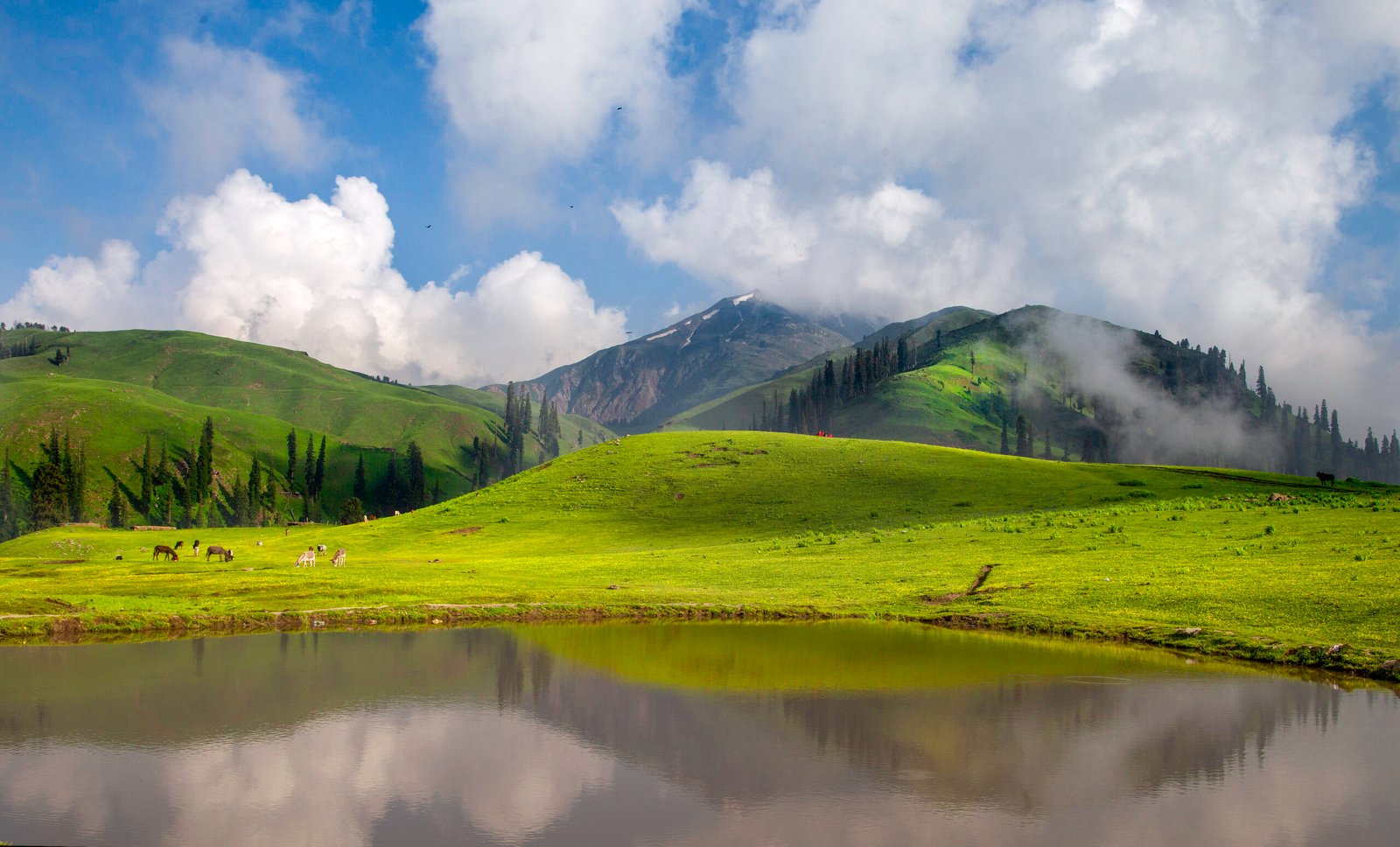 Green alpine meadows at Siri Paye near Shogran in the Kaghan Valley