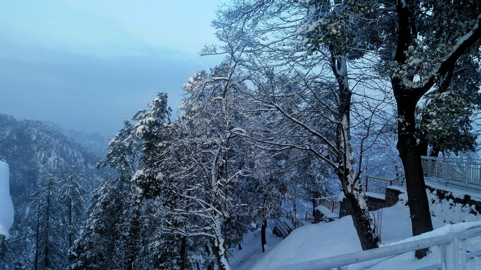 Murree hill station in Punjab, Pakistan, with pine-covered hills and mountain scenery